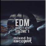 EDM Drops & Hits Vol.1 Cover.jpg