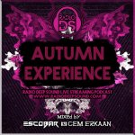 Autumn Experience Cover.jpg