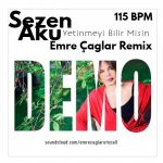 Sezen Aksu - Yetinmeyi Bilir Misin Emre Caglar Remix 2020.jpg